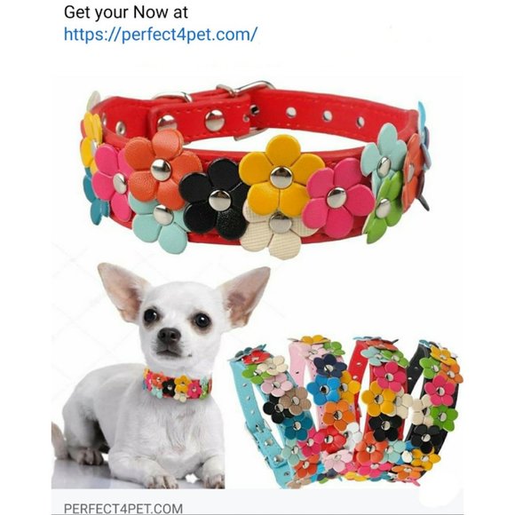 Other - dog colorful flower collar
